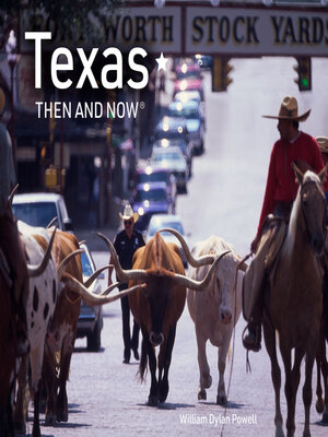 cover image of Texas Then and Now